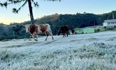 Reforço de ar polar e nebulosidade mantêm frio o dia todo nesta quinta-feira no RS