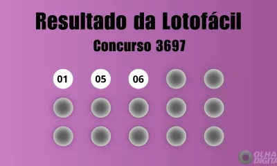 Lotofácil 3697: Concurso acumula R$ 5 milhões e 235 apostas levam R$ 1.430 com 14 acertos