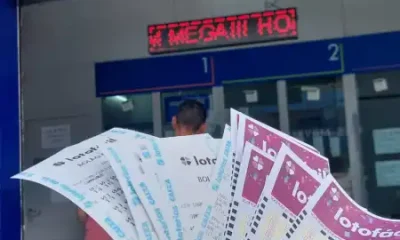 Lotofácil 3698: Confira os 15 números sorteados pela Caixa e o prêmio de R$ 5 milhões