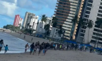Garoto de 11 anos é atacado por tubarão em Piedade, Jaboatão dos Guararapes; é o terceiro ataque em PE no ano