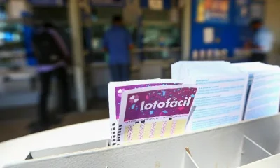 Lotofácil: Três Apostas de São Paulo e Rio Grande do Sul Levam R$ 2,6 Milhões em Concurso Recente