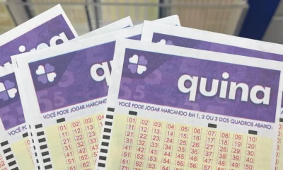 Quina 7040: Resultado e Rateio do Concurso de Segunda-feira; Entenda Como Jogar e As Chances de Ganhar