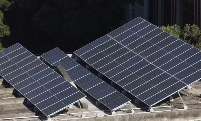 ONS aciona plano inédito para cortar energia solar de pequenas usinas em meio a excedente