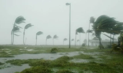 Ciclone Extratropical em SC: 128 Cidades em Alerta Laranja para Tempestades e Ventos de até 100 km/h