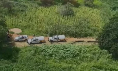 Pai que sequestrou bebê de 6 meses após agredir companheira é preso em Periquito, MG