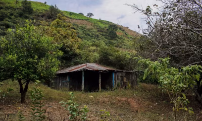 Buscas por Mineradores Sequestrados no México Revelam Valas Comuns e Corpos Próximos à Mina