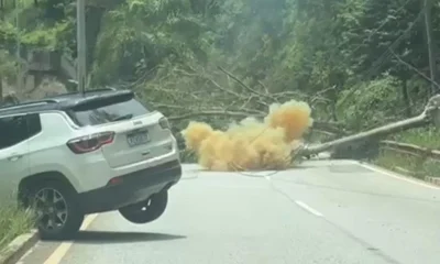 Queda de árvore de grande porte em MG derruba três postes e bloqueia rodovia MG-030 em Nova Lima