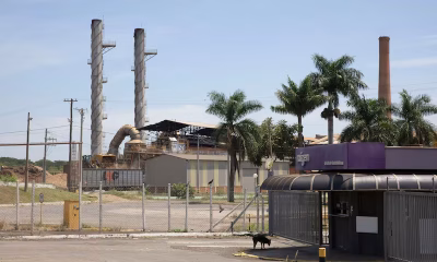 Raízen enfrenta rebaixamento para grau especulativo e contrata Alvarez & Marsal para reestruturação financeira