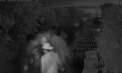 Cão Orelha: Vídeos Exclusivos Detalham Dia da Agressão em Florianópolis e Defesa Aponta Divergências