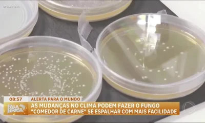 Alerta Global: Fungo de Transmissão Sexual 'Altamente Contagioso' Gera Preocupação em Diversos Países