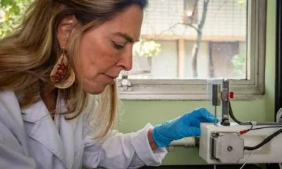 Judicialização da Polilaminina Prejudica Pesquisas sobre Lesões Medulares, Alerta Pesquisadora da UFRJ