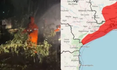 Alerta Vermelho: Chuvas Intensas Atingem Litoral de SP, Causando Deslizamentos e Desabrigados