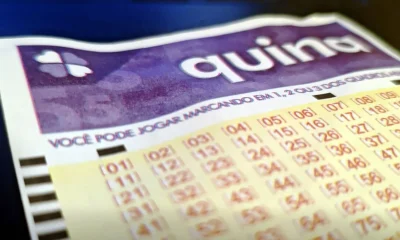 Quina 6973: Aposta de Santa Catarina Leva R$ 19,4 Milhões com Bolada Inédita