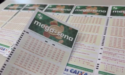 Mega-Sena: Mais de 180 Apostas em Goiás Premiadas com Quina e Prêmio Totalizando R$ 151.916,75