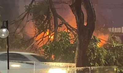 Motorista de aplicativo e passageiros escapam ilesos após árvore cair e carro pegar fogo em BH