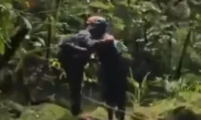 Ciclistas Desaparecidos em Juquitiba são Resgatados Após 6 Dias Perdidos em Trilha da Serra do Mar