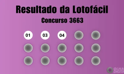Lotofácil 3663: Apostador de SP fatura R$ 3,9 milhões com 15 acertos; veja dezenas sorteadas