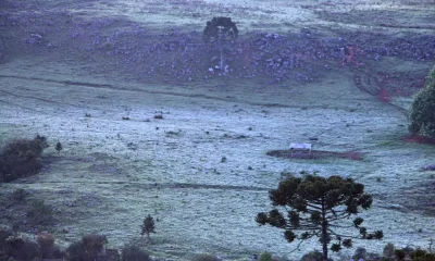 Brasil se prepara para o dia mais frio do ano: massa de ar polar pode derrubar temperaturas para 0°C no Sul