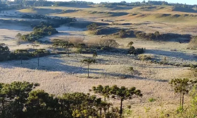 Frio Intenso no Sul do Brasil: Massa de Ar Polar Traz Risco de 0°C e Geada em Regiões Serranas