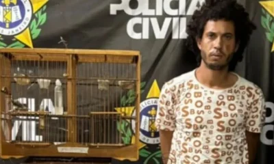 Homem é Preso em Duque de Caxias por Espancar e Matar Capivara a Chutes; Causa Revolta nas Redes Sociais