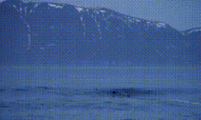 Ondas Polares: Surfistas Desafiam Frio Extremo e Isolamento no Ártico Norueguês